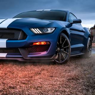 Ford Mustang logo iPhone wallpaper