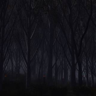 Soft dark 4k wallpaper