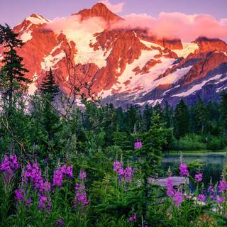 Washington State 4k wallpaper