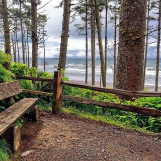 Washington State 4k wallpaper