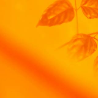 Orange minimal 4k wallpaper