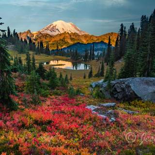 Washington State 4k wallpaper