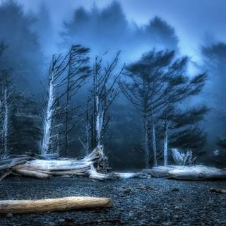 Washington State 4k wallpaper