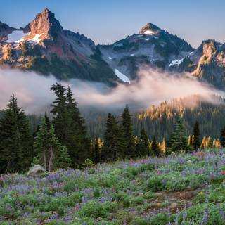 Washington State 4k wallpaper