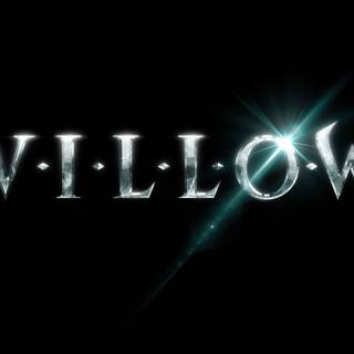 Willow 4k wallpaper