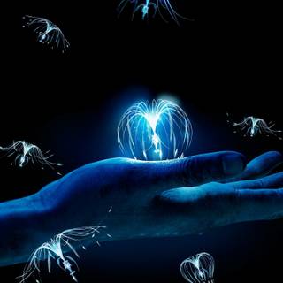 Avatar 4k iPhone wallpaper