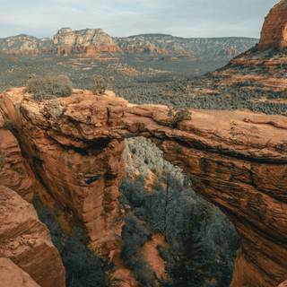 Arizona iPhone wallpaper