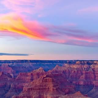 Arizona iPhone wallpaper