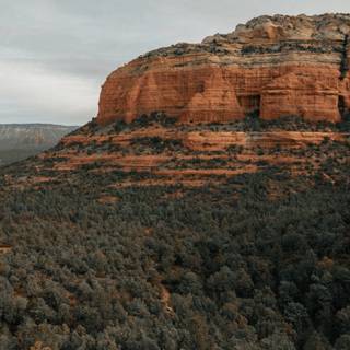 Arizona iPhone wallpaper