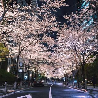 Japan night iPhone wallpaper