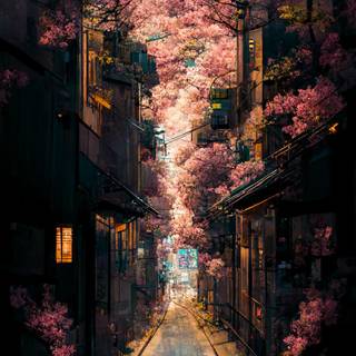 Japan night iPhone wallpaper