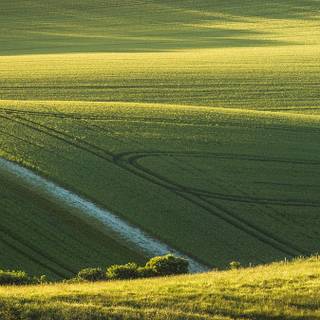 iPhone field wallpaper