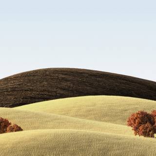 iPhone field wallpaper