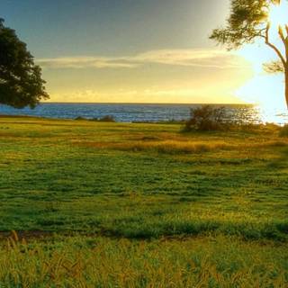 iPhone field wallpaper