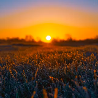 iPhone field wallpaper