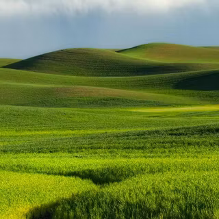 iPhone field wallpaper