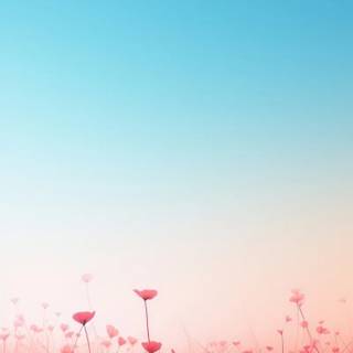 iPhone field wallpaper