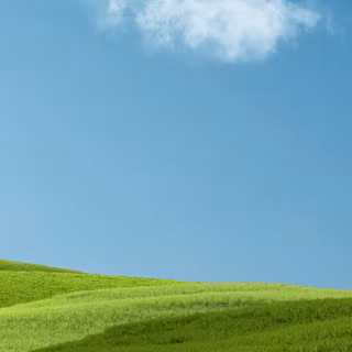 iPhone field wallpaper