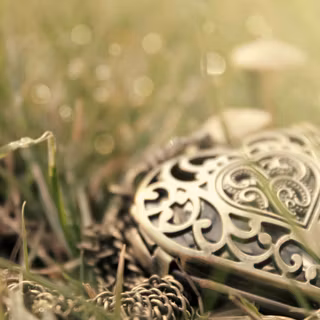 Silver jewelry wallpaper