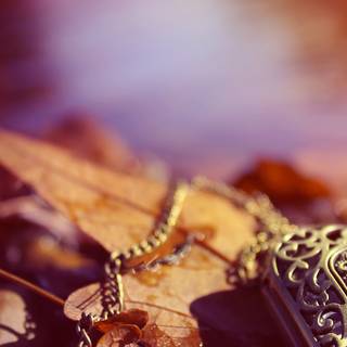 Silver jewelry wallpaper