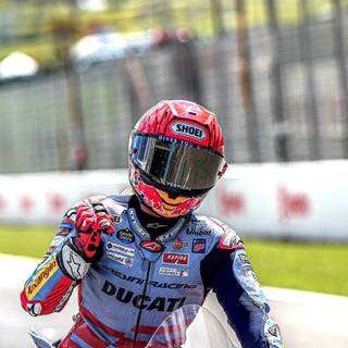 Marc Marquez Ducati wallpaper