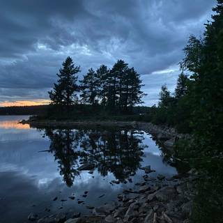 Dark blue nature wallpaper