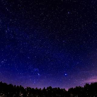 Dark blue nature wallpaper