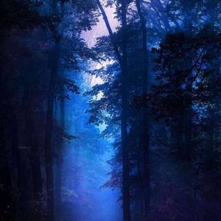 Dark blue nature wallpaper