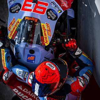 Marc Marquez Ducati wallpaper