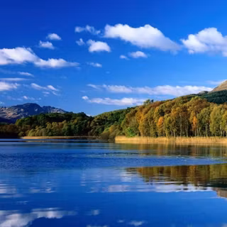 Dark blue nature wallpaper