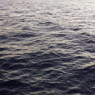 Dark blue nature wallpaper