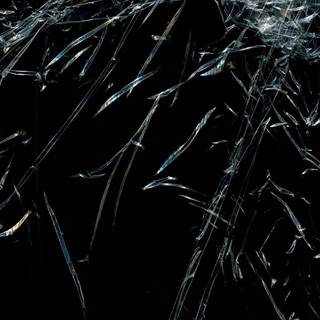 Plastic texture wallpaper