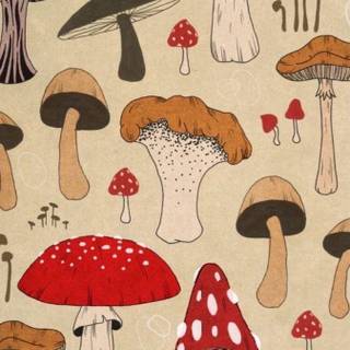 Mushroom cartoon wallpaper