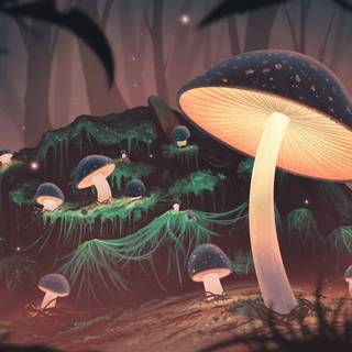 Mushroom cartoon wallpaper