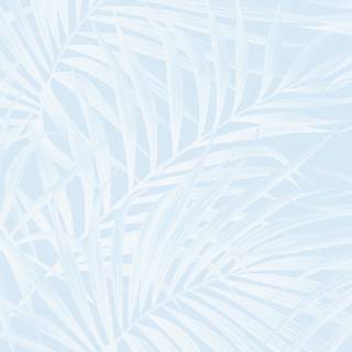 White and light blue wallpaper