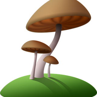 Mushroom cartoon wallpaper