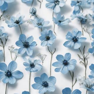 White and light blue wallpaper