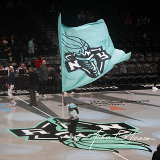 WNBA New York Liberty wallpaper