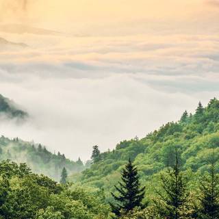 Great Smoky Mountains wallpaper