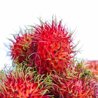 Spiny fruit wallpaper