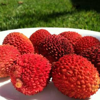 Spiny fruit wallpaper