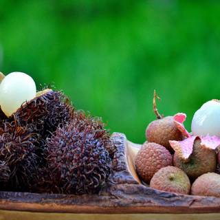 Spiny fruit wallpaper