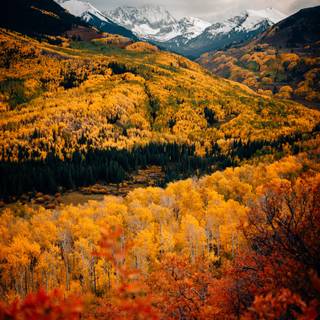 Aspen USA Rocky Mountains autumn wallpaper
