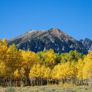Aspen USA Rocky Mountains autumn wallpaper