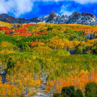 Aspen USA Rocky Mountains autumn wallpaper
