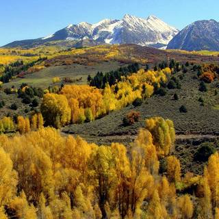 Aspen USA Rocky Mountains autumn wallpaper