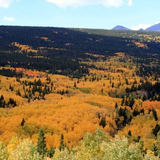 Aspen USA Rocky Mountains autumn wallpaper