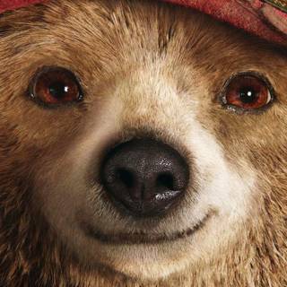 Paddington wallpaper