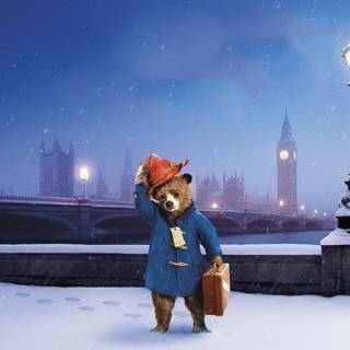 Paddington wallpaper