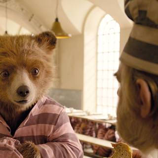 Paddington wallpaper